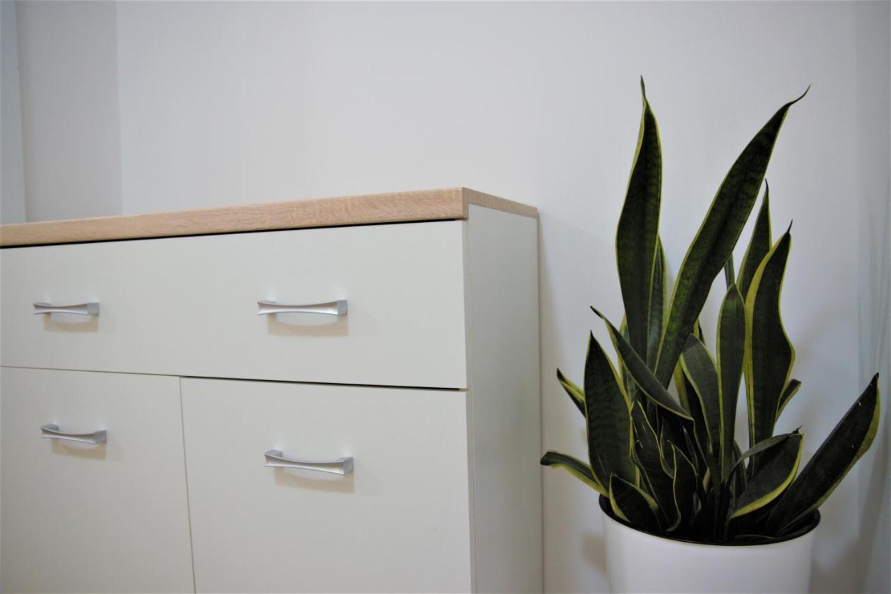 Central Modern Apt With Garden ストルガ エクステリア 写真